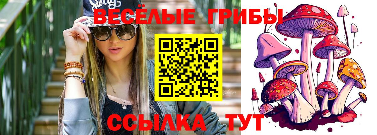 Галлюциногенные грибы Magic Shrooms  Галлюциногенные грибы мухоморы  Вход с VPN  Минусинск 