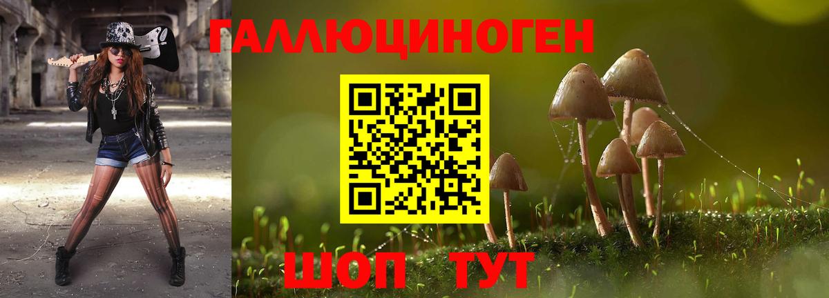 Галлюциногенные грибы ЛСД Минусинск